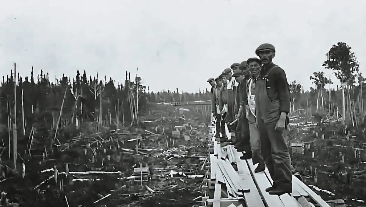Workers standing on a long timber at a forestry site